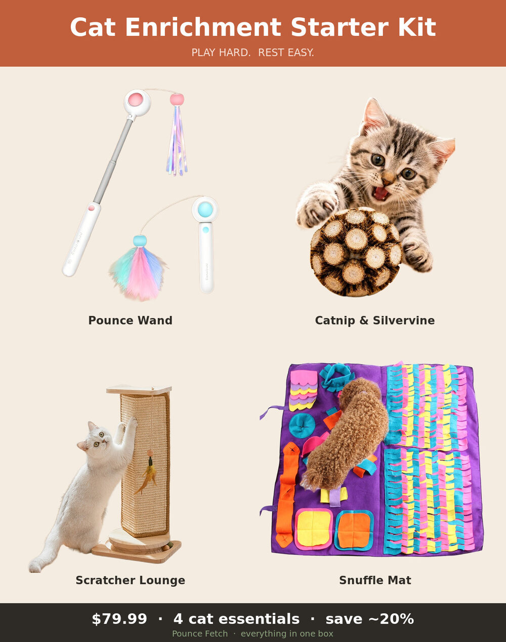 Cat Enrichment Starter Kit