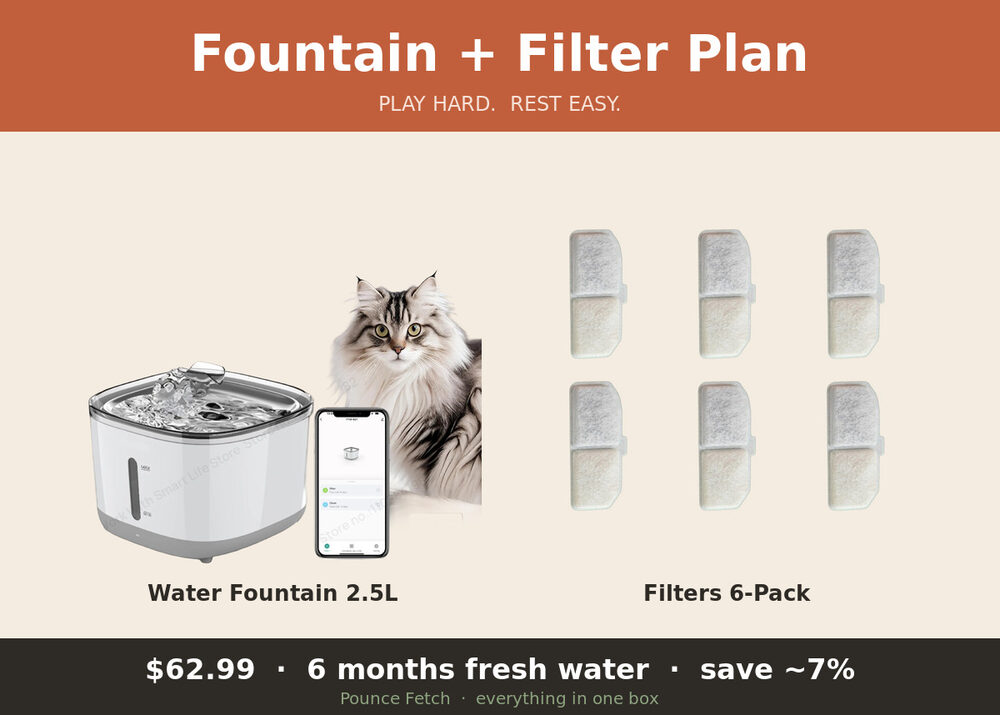 Fountain + Filter Plan — 6 Months of Fresh Water