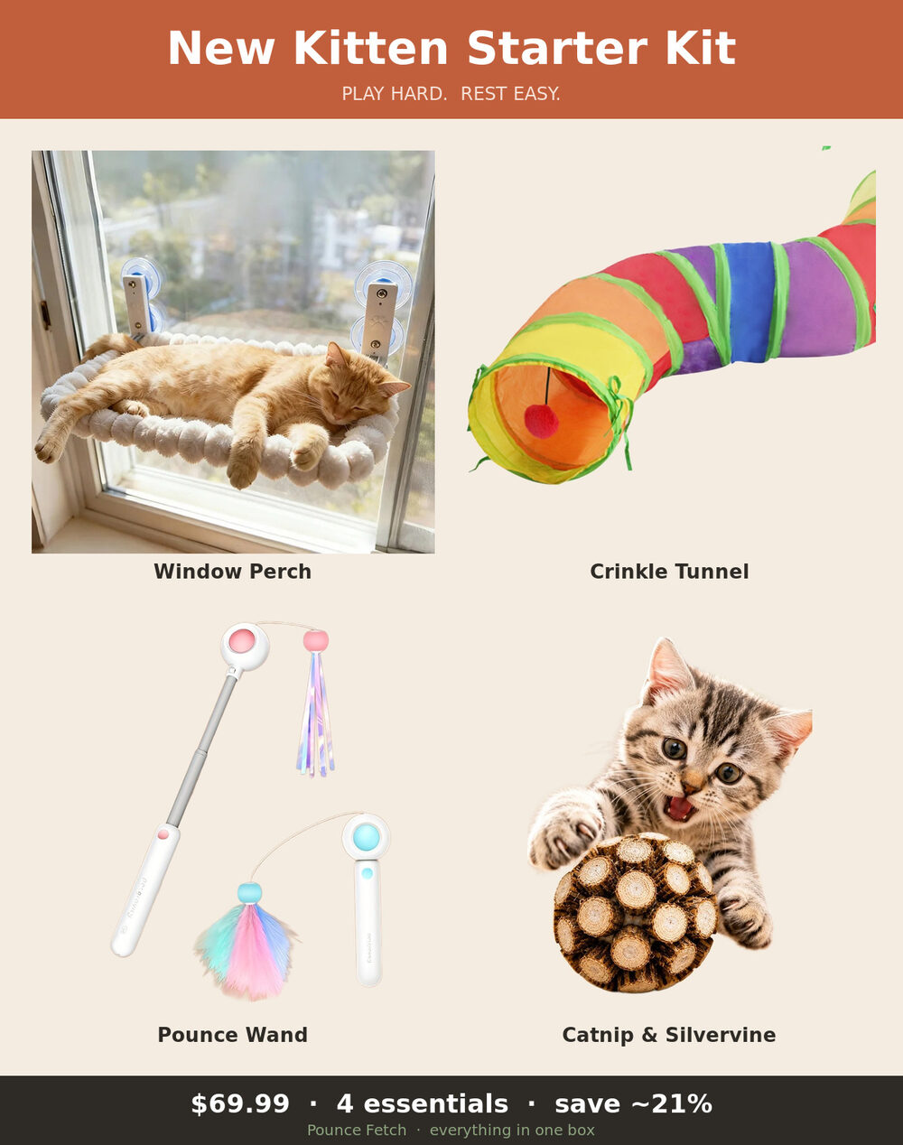 New Kitten Starter Kit