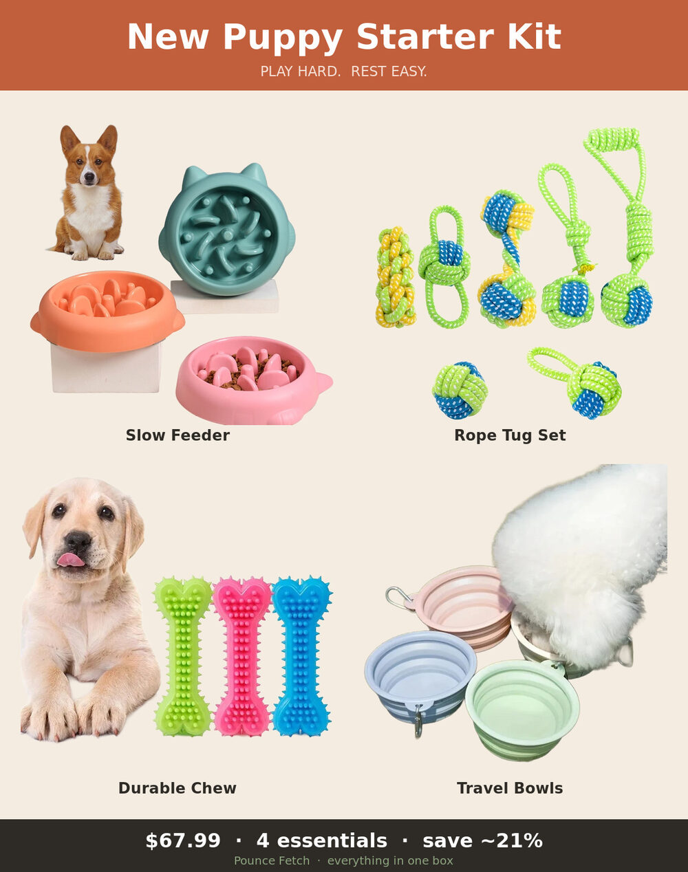 New Puppy Starter Kit