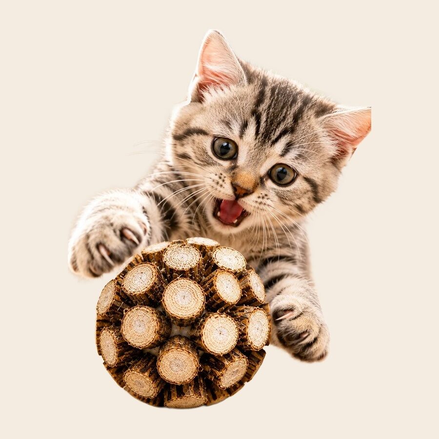 Catnip & Silvervine Toy Set