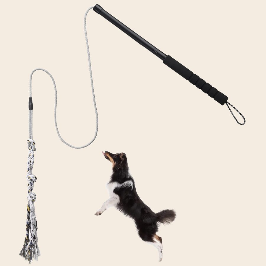 Flirt Pole — Chase & Catch for Dogs