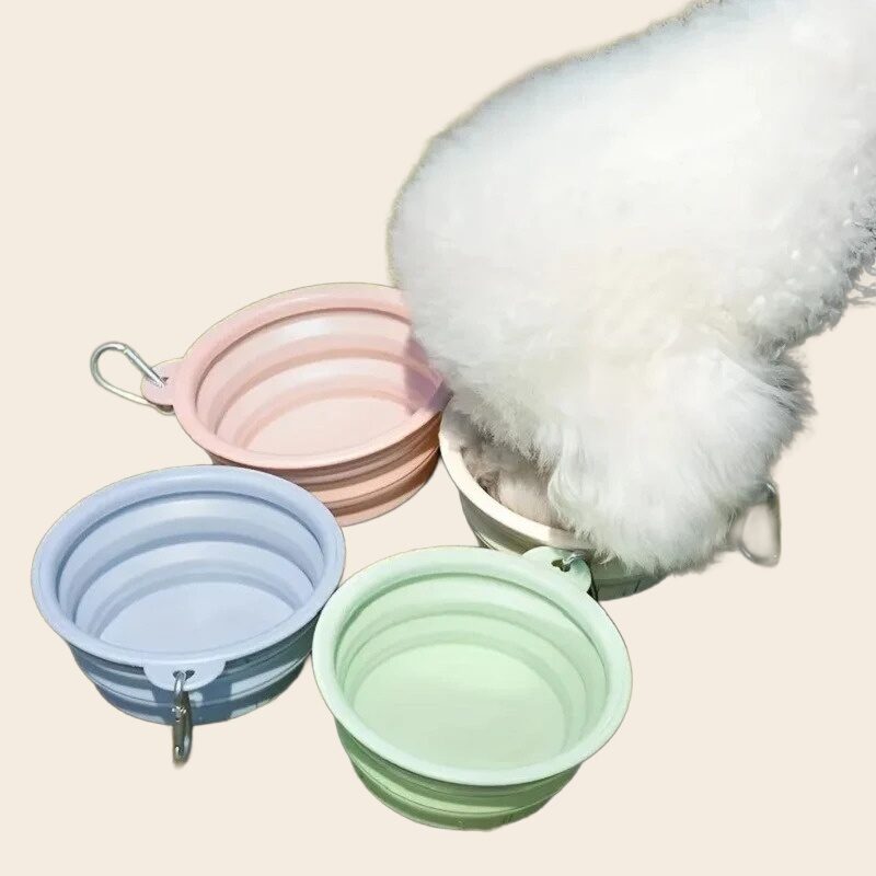 Collapsible Travel Bowls — 2-Pack