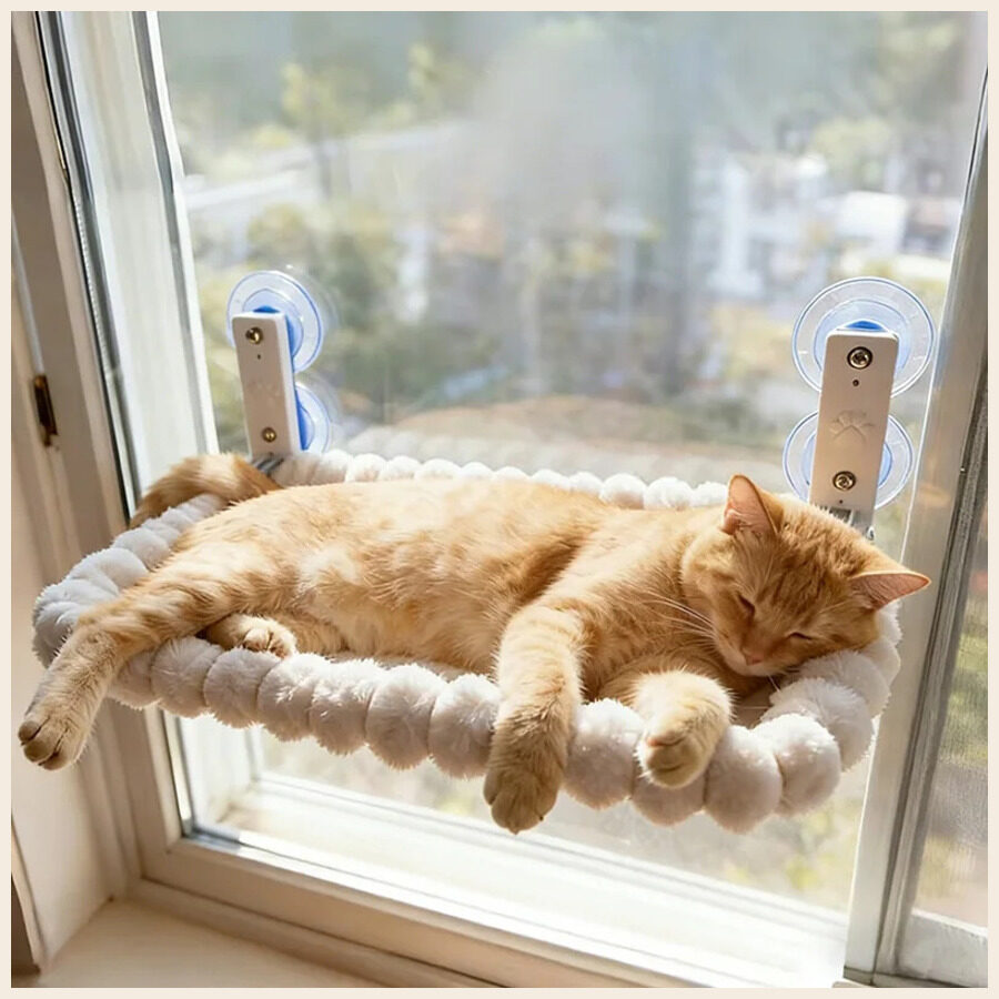 Cat Window Perch — Suction Hammock